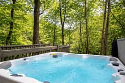 Fontana Lake Tree House - Image 3