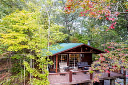 LunaBear's Hideaway - Image 4