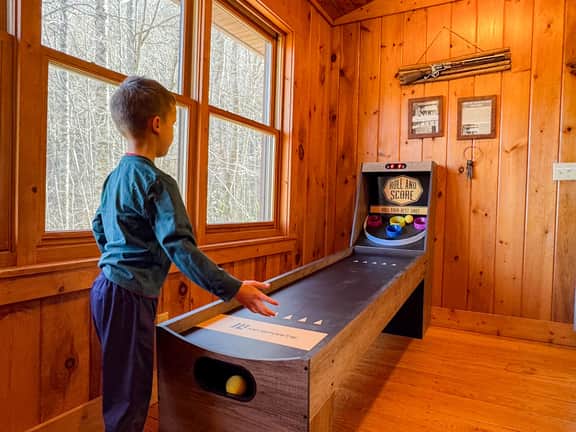 Smoky Mountain Hideaway w/ Hot Tub & Firepit - Image 3